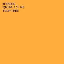 #FEAD3C - Tulip Tree Color Image